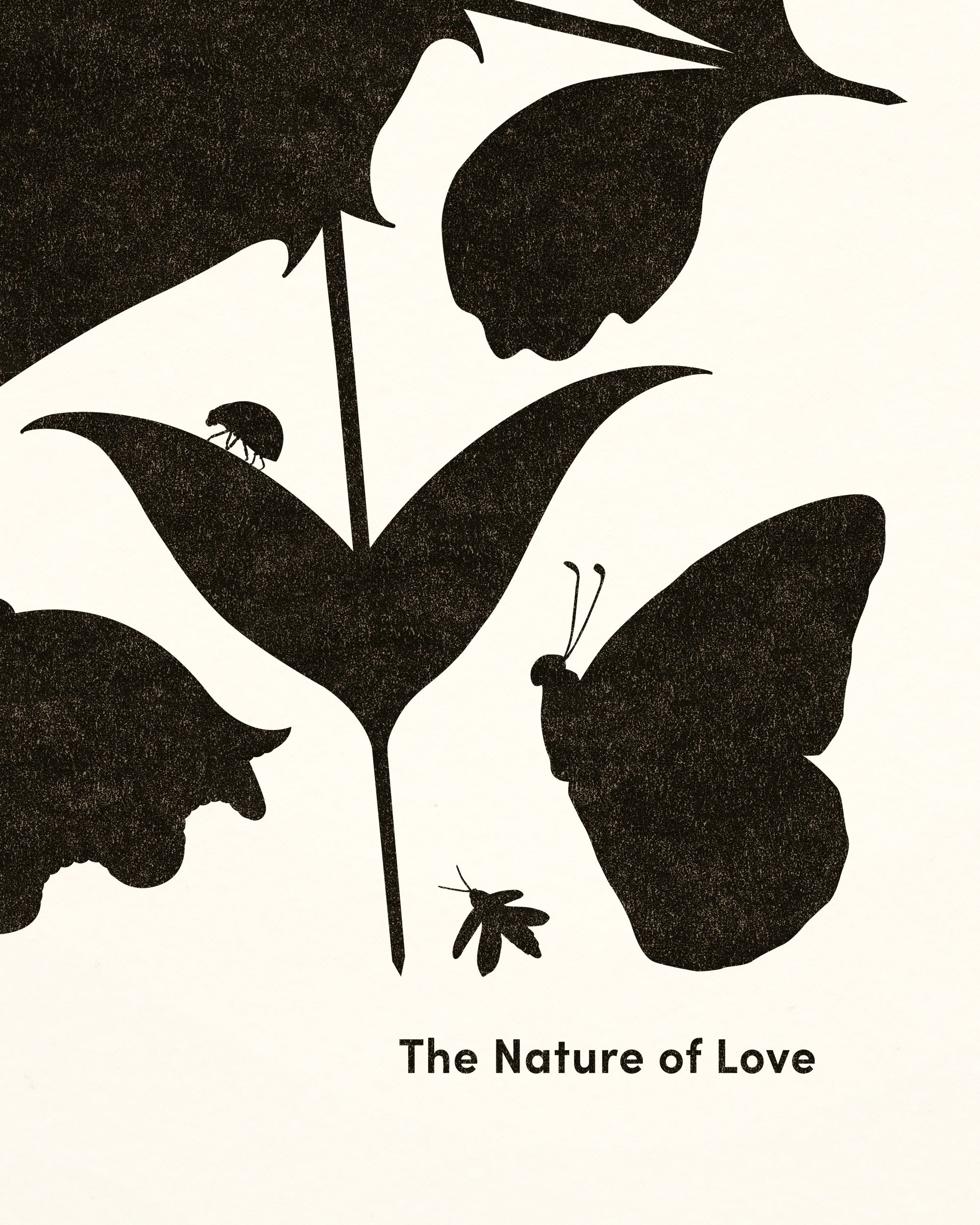 Nature Lover – Beauchamping